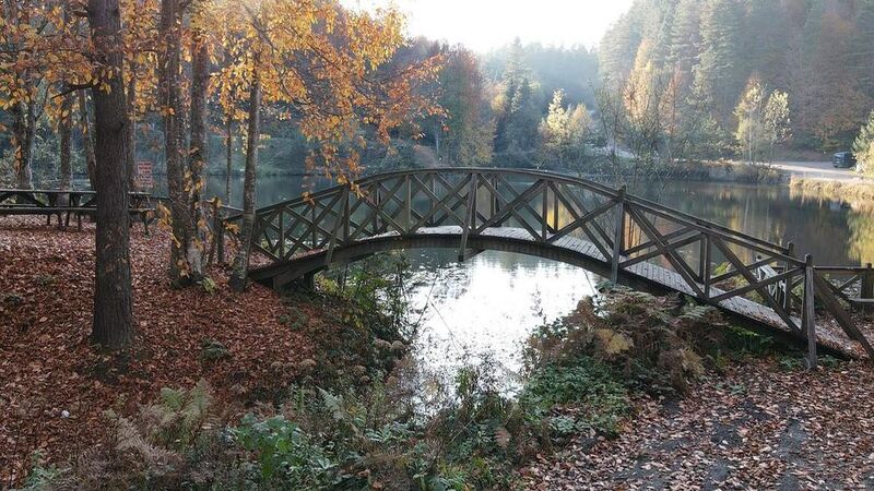 BOLU KORU HOTELS SPA & CONVENTİON