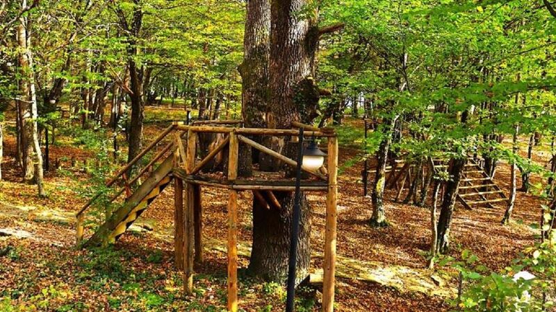 BOLU KORU HOTELS SPA & CONVENTİON