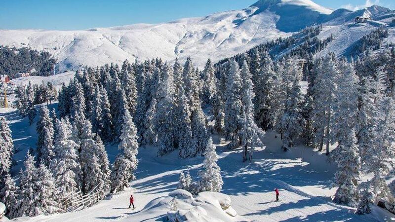 OKSİJEN ZONE ULUDAĞ