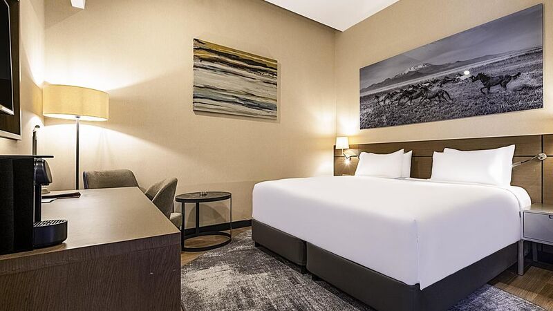 RADİSSON BLU HOTEL MOUNT ERCİYES LAKE SİDE