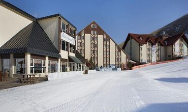 DEDEMAN PALANDÖKEN