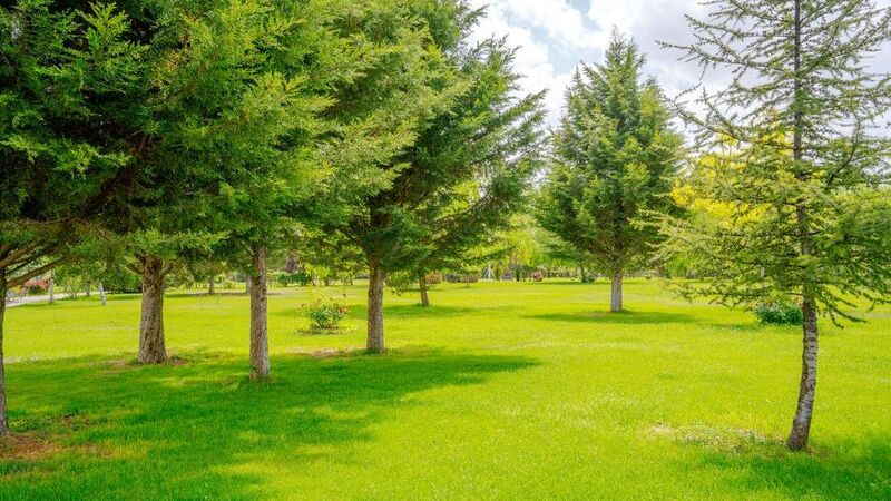 KOREL TERMAL OTEL RESORT & CLİNİC SPA