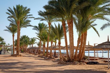 İzmir Çıkışlı Sharm El Sheikh Turu