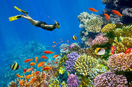 İzmir Çıkışlı Sharm El Sheikh Turu