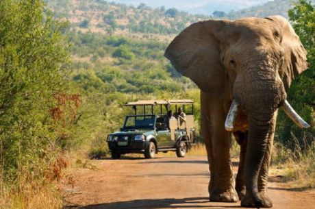 İzmir Çıkışlı Güney Afrika Turu