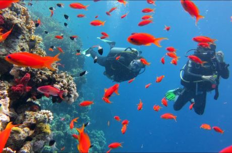 İzmir Çıkışlı Sharm El Sheikh Turu 19-22 Mart Şeker Bayramı